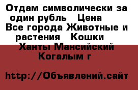 Отдам символически за один рубль › Цена ­ 1 - Все города Животные и растения » Кошки   . Ханты-Мансийский,Когалым г.